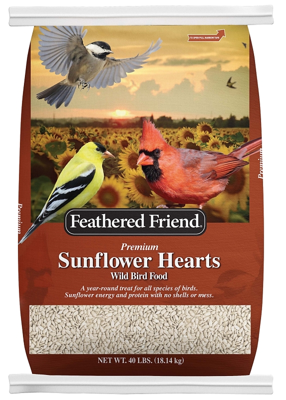 Wild Bird Food
