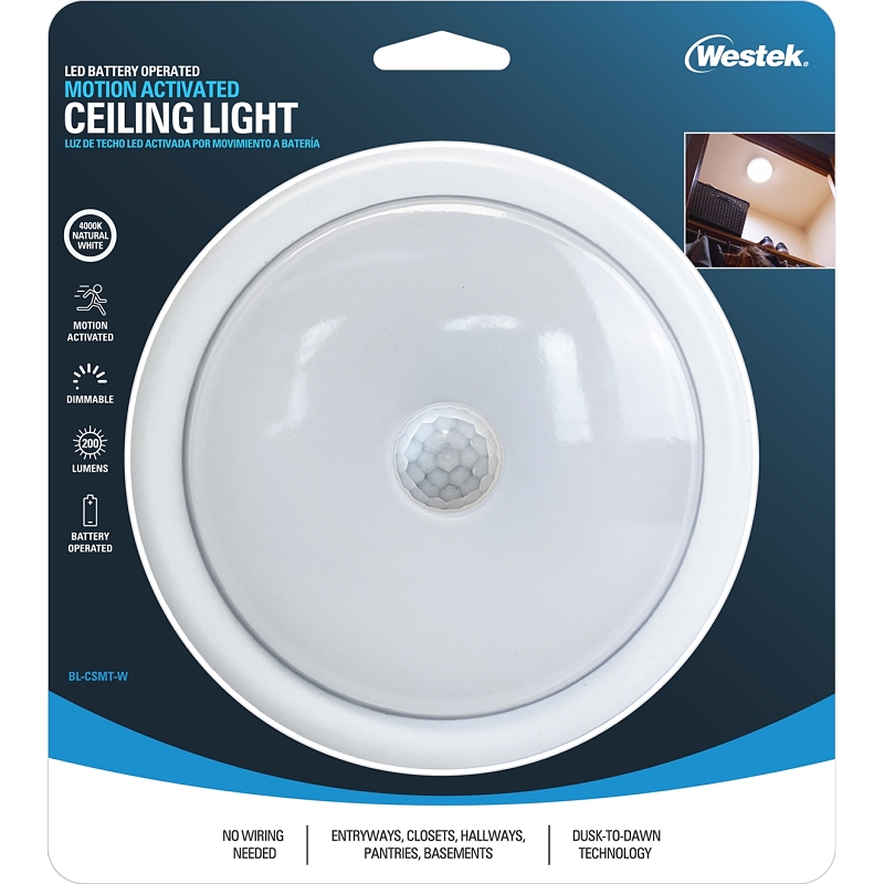 Ceiling Light