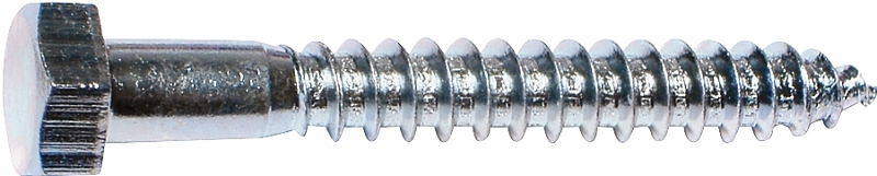 Lag Screw