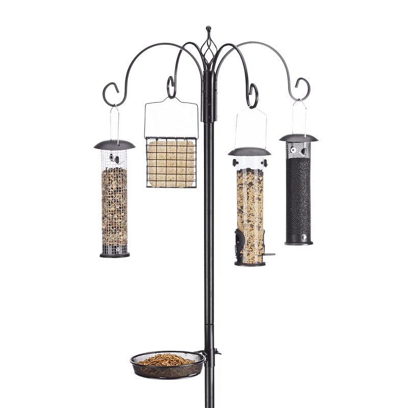 Ultimate Bird Feeding Station