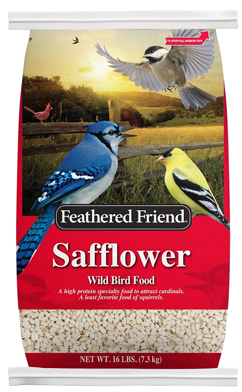 Wild Bird Food