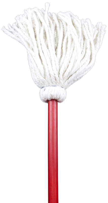 Toy Mop