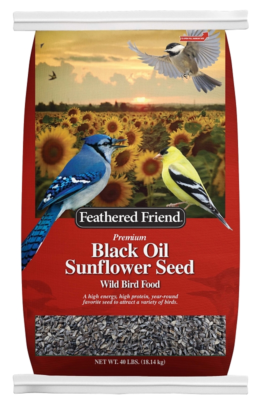 Wild Bird Food