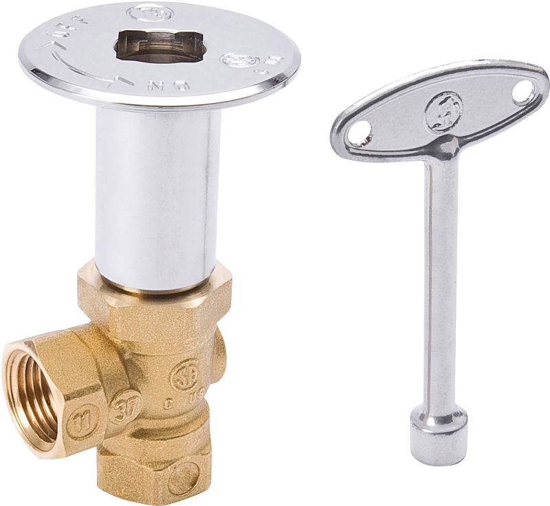 Log Lighter Valve