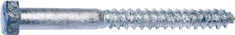 Lag Screw