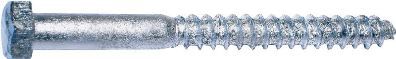 Lag Screw