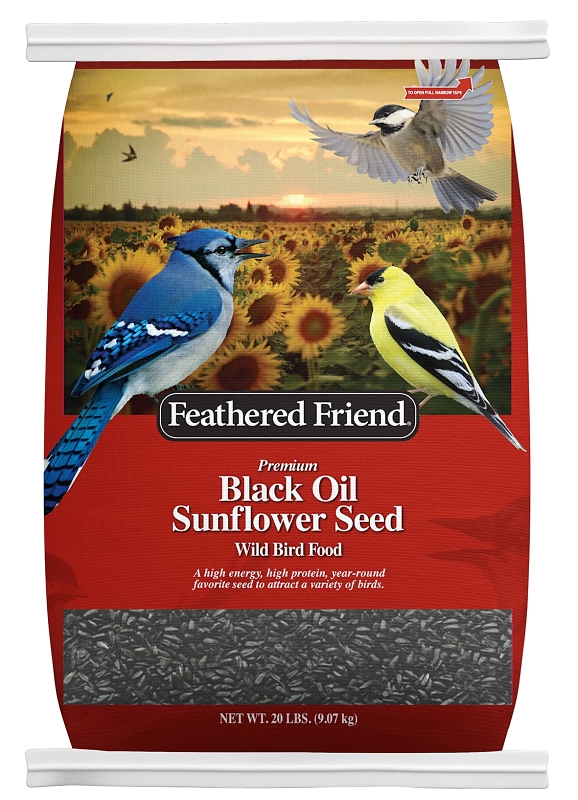 14197 Wild Bird Food