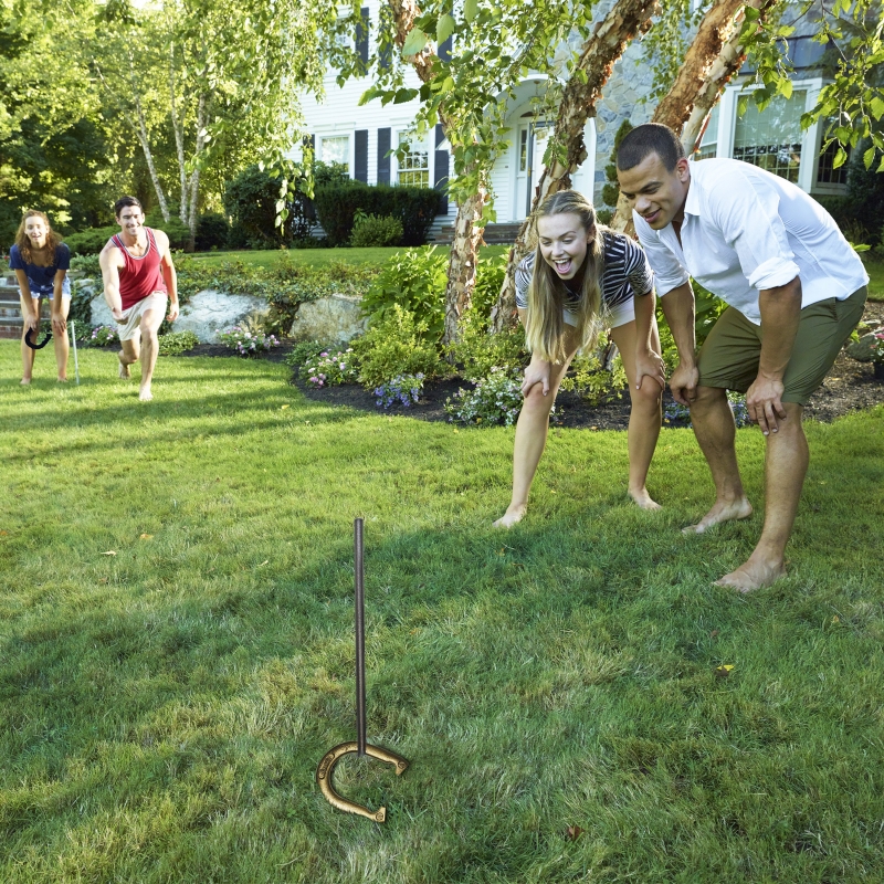 Horseshoes Set